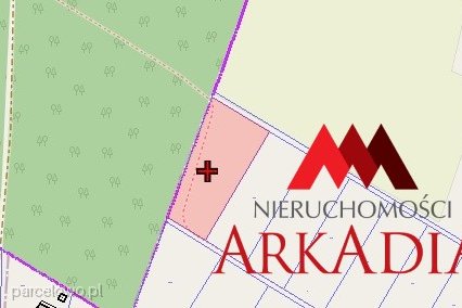 Fabianki, Nowy Witoszyn – zdjęcie 5
