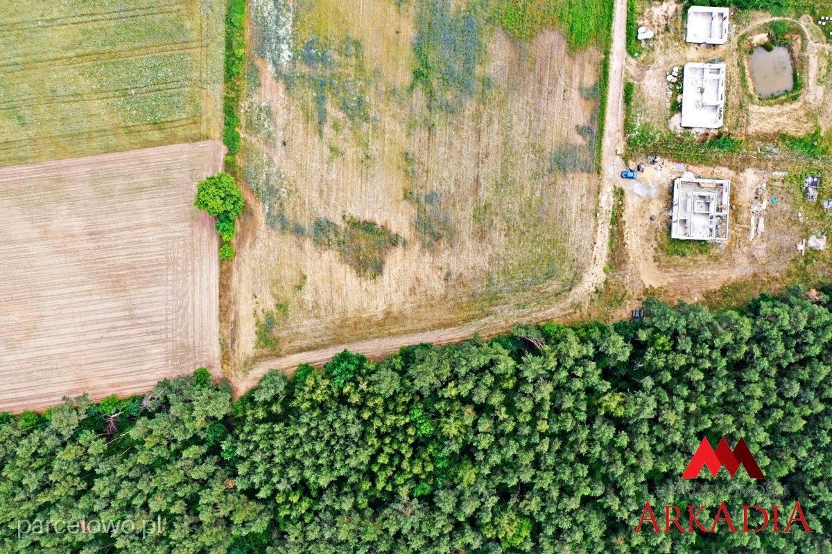 Fabianki, Nowy Witoszyn – zdjęcie 4
