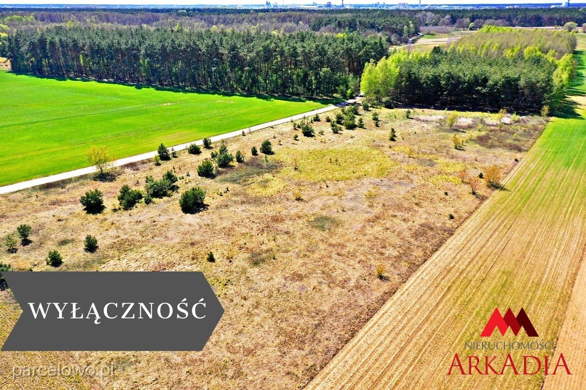 Bobrowniki, Winduga – zdjęcie 1