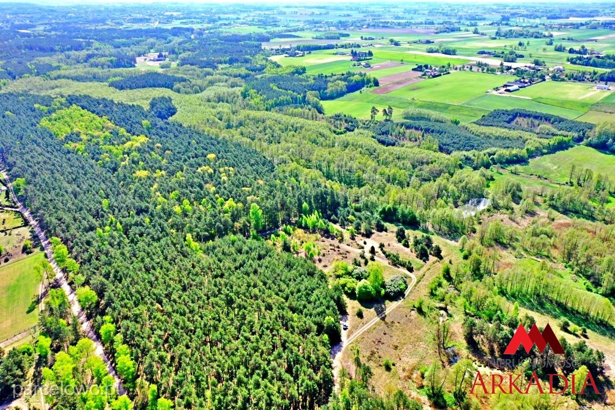 Atrakcyjna Działka /MALISZEWO /Gmina Lipno  – zdjęcie 4
