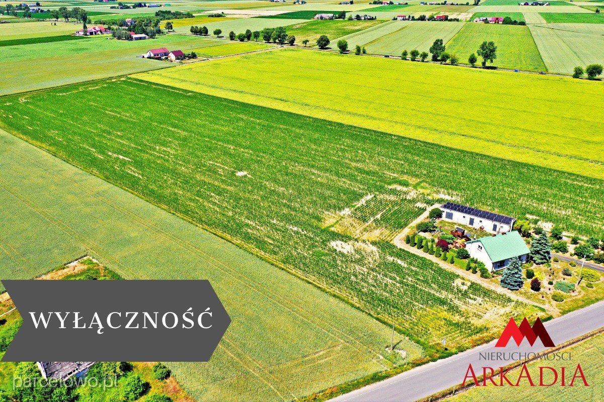 Brześć Kujawski, Brzezie – zdjęcie 1