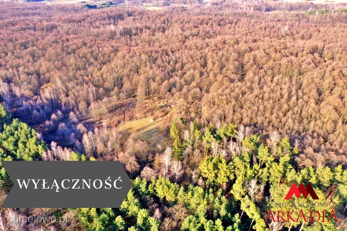 Włocławek (gw), Wistka Królewska – zdjęcie 1