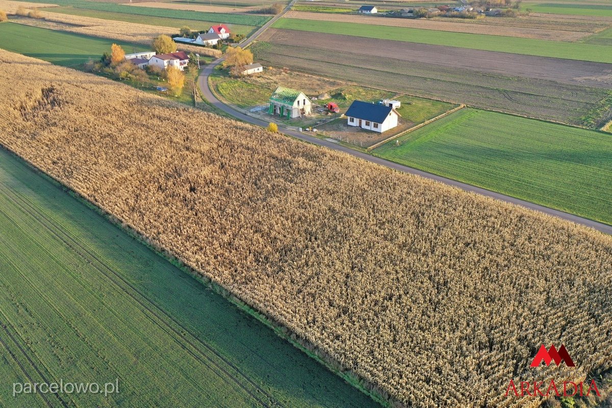 Działka Lubanie – zdjęcie 4