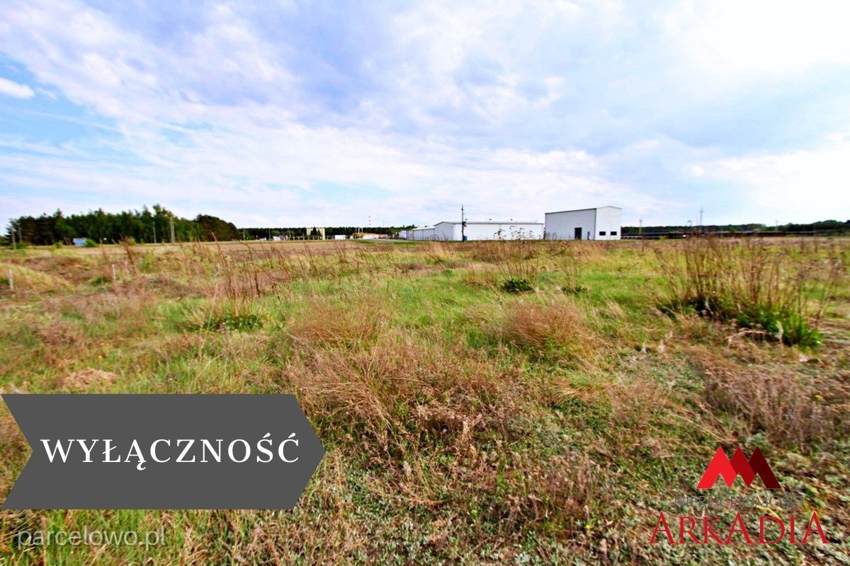 Lubanie, Gąbinek – zdjęcie 1
