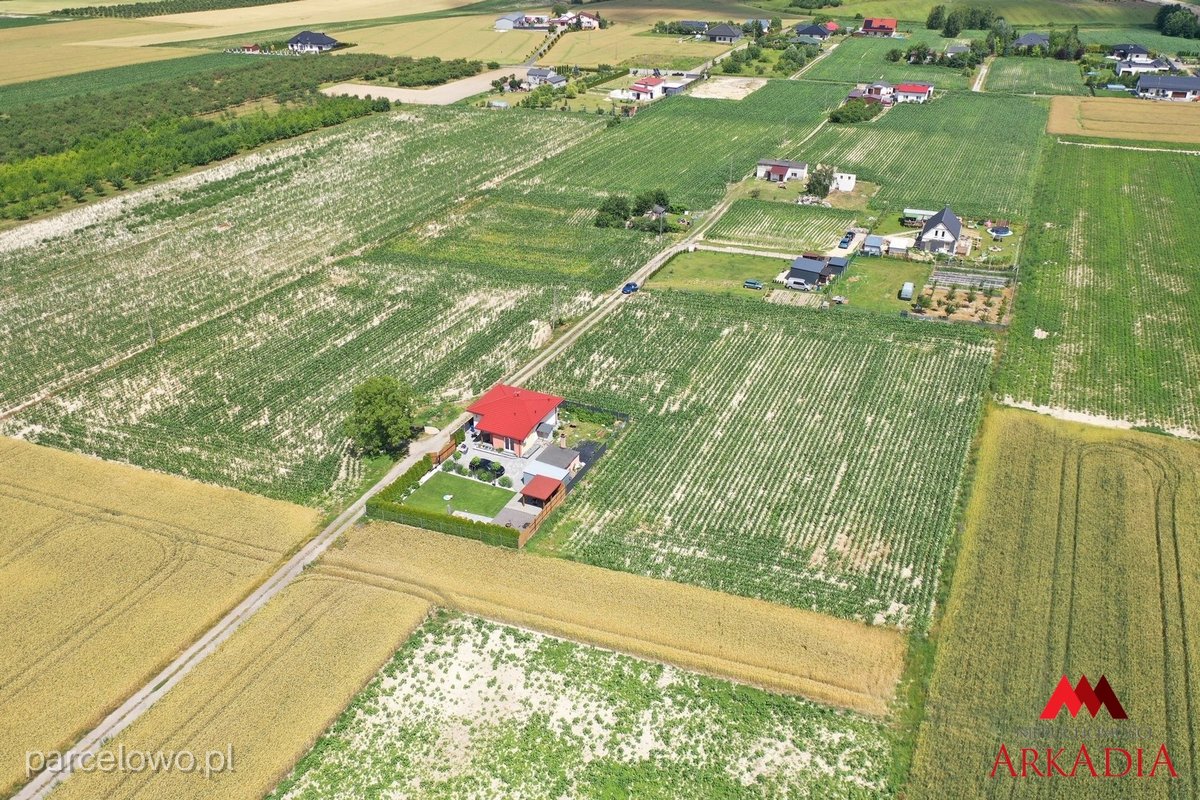 Fabianki, Szpetal Górny – zdjęcie 2