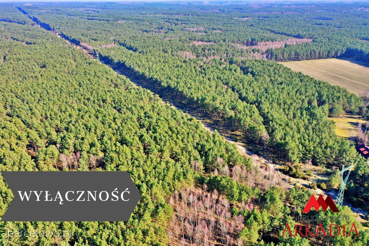 Bobrowniki, Bobrownickie Pole – zdjęcie 1