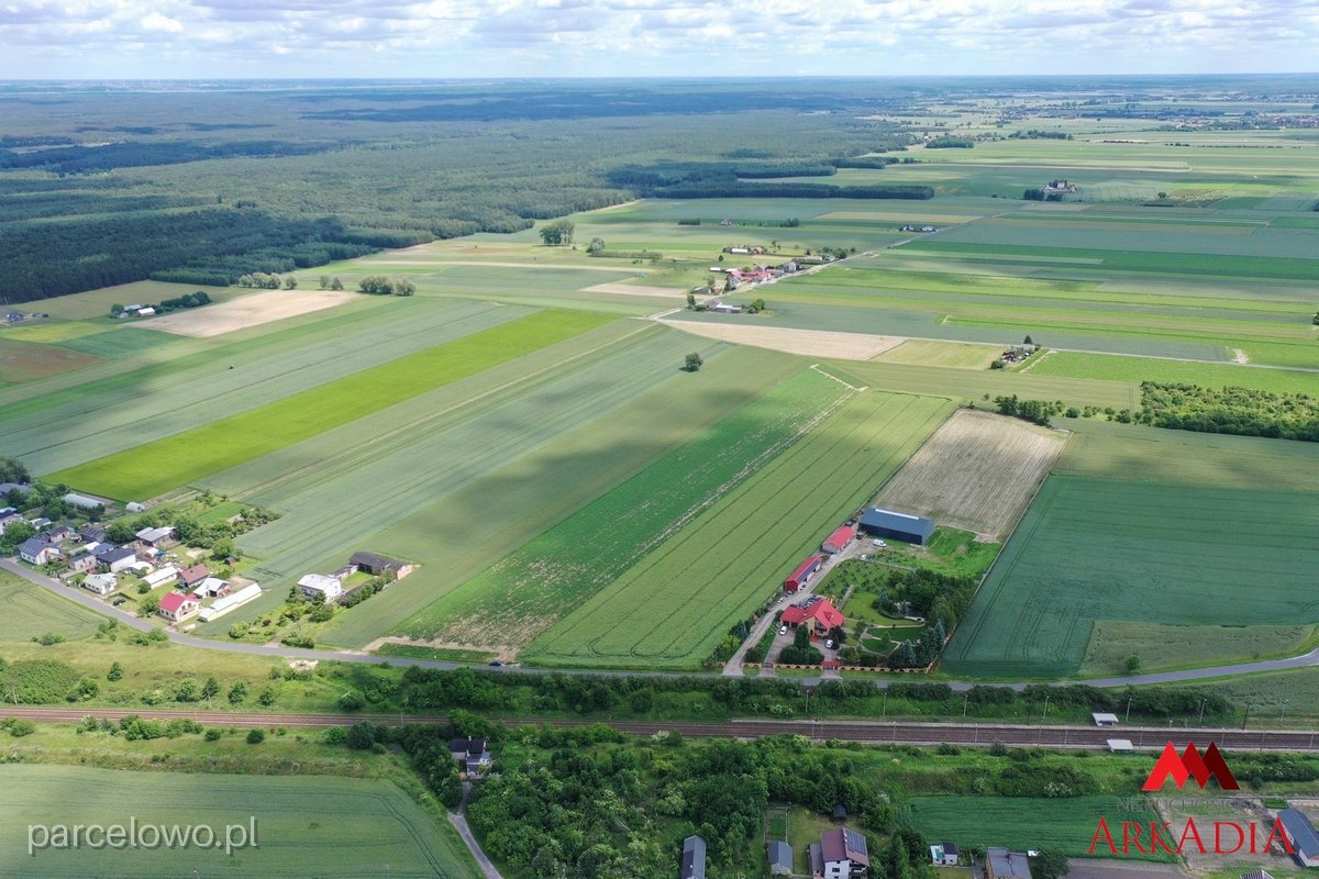 Kowal, Gołaszewo – zdjęcie 6