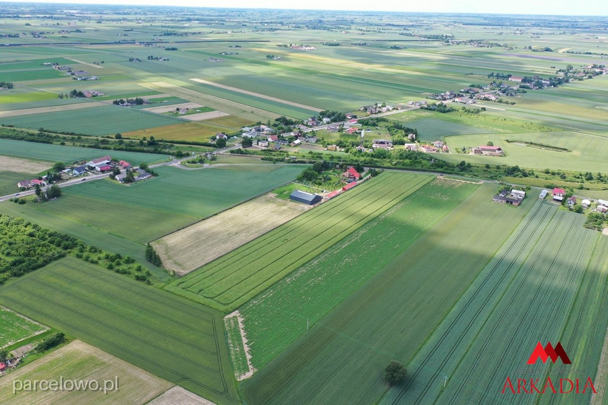 Kowal, Gołaszewo – zdjęcie 5