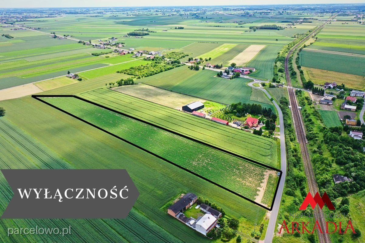 Kowal, Gołaszewo – zdjęcie 1