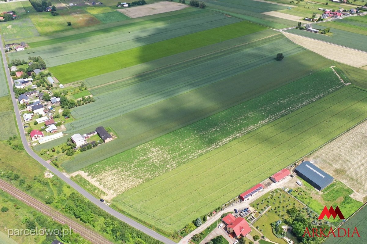 Kowal, Gołaszewo – zdjęcie 7