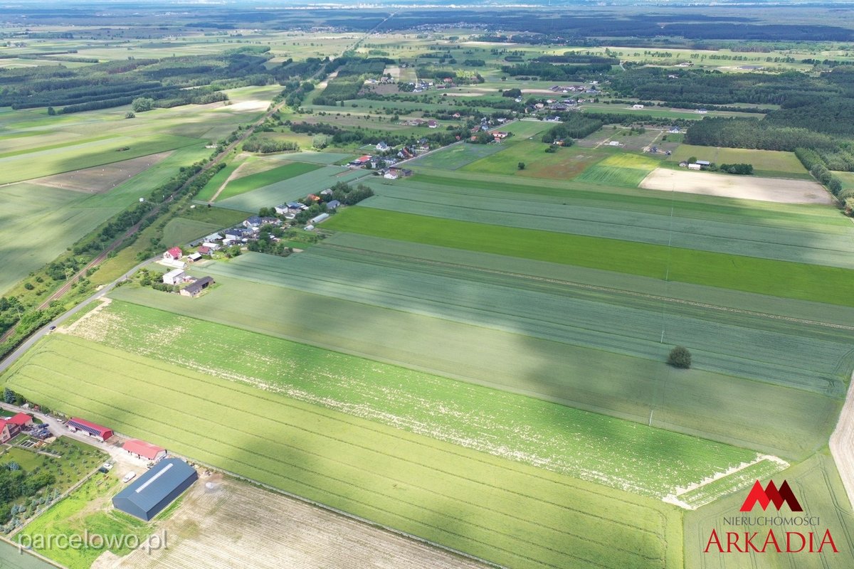 Kowal, Gołaszewo – zdjęcie 2