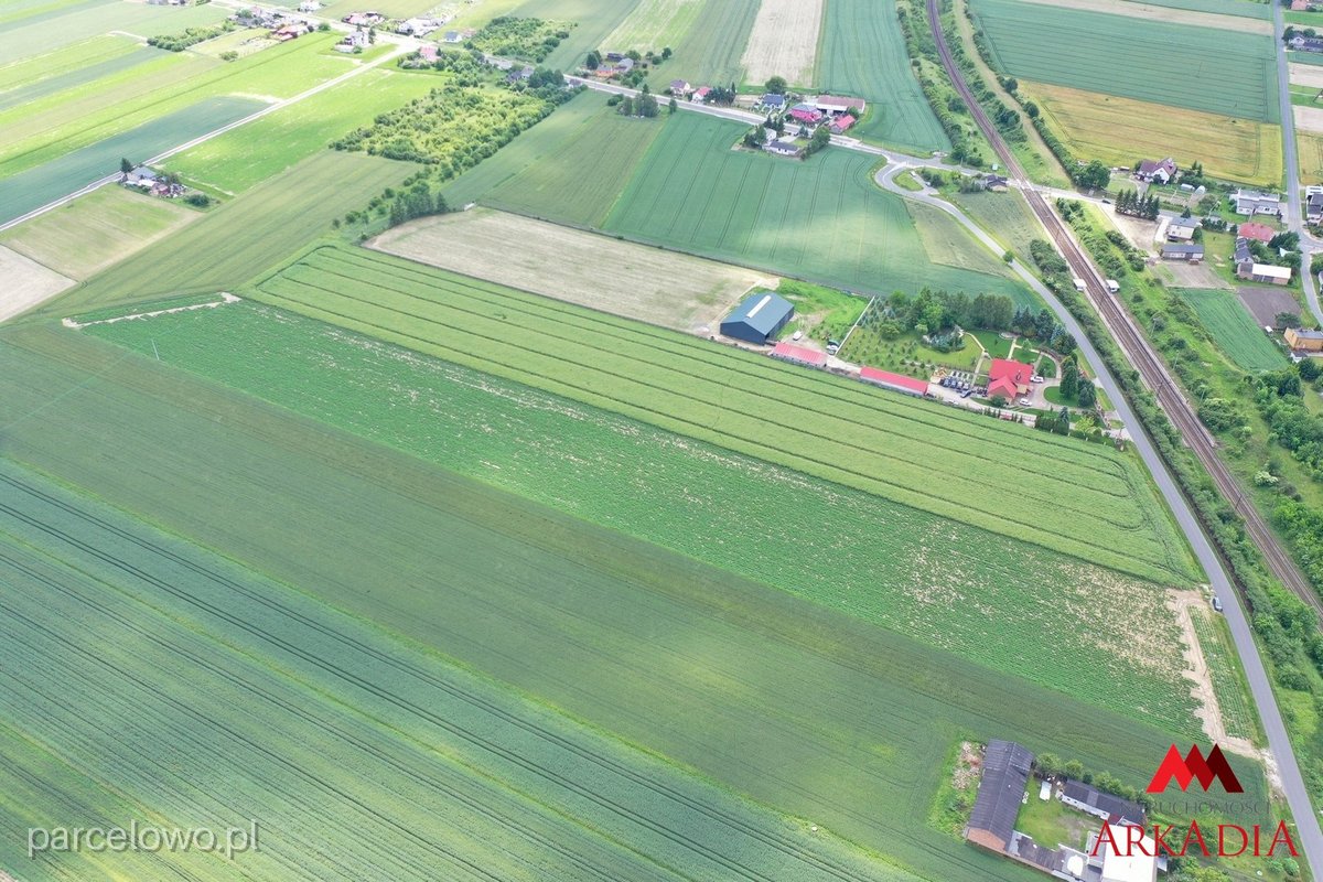 Kowal, Gołaszewo – zdjęcie 4