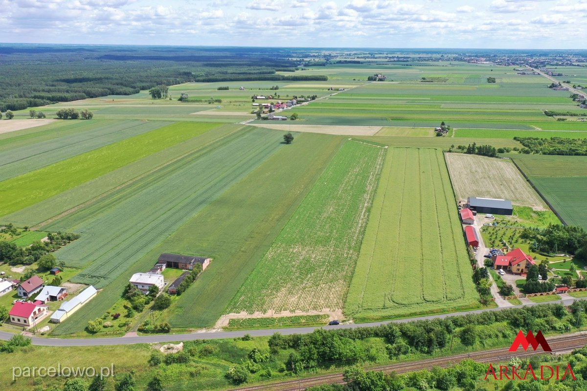 Kowal, Gołaszewo – zdjęcie 3