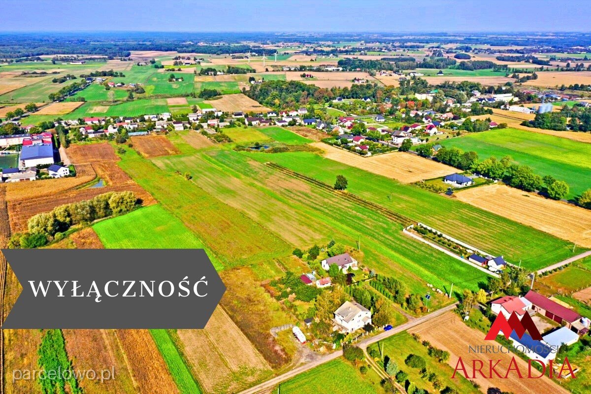 Lipno, Radomice – zdjęcie 1