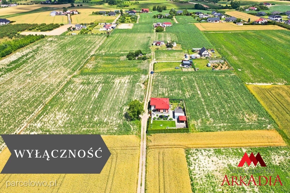 Fabianki, Szpetal Górny – zdjęcie 1