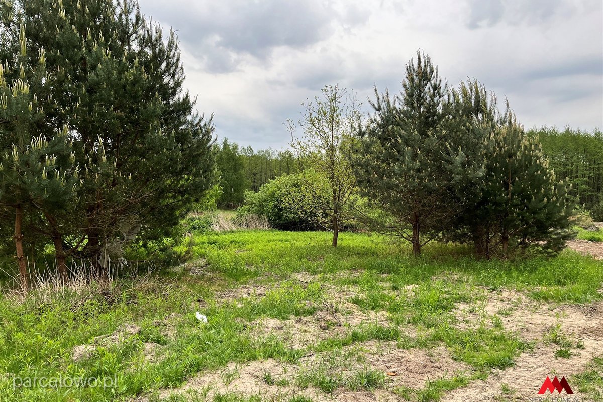 Fabianki, Osiek – zdjęcie 6