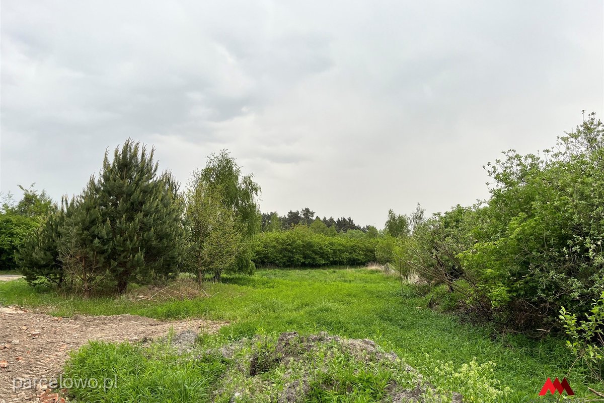 Fabianki, Osiek – zdjęcie 7