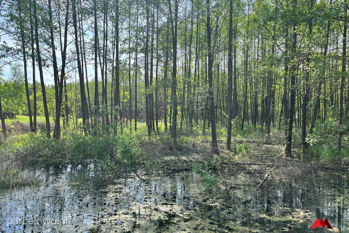 Fabianki, Osiek – zdjęcie 2