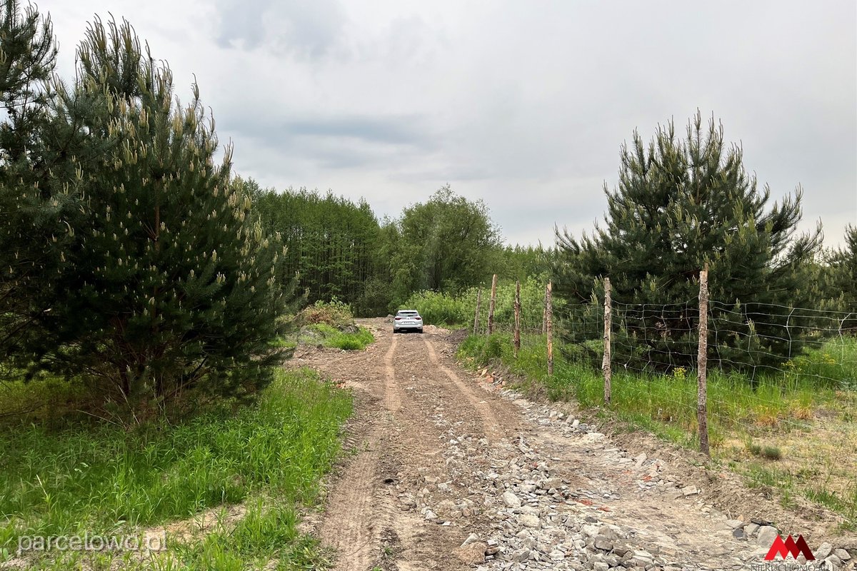 Fabianki, Osiek – zdjęcie 3