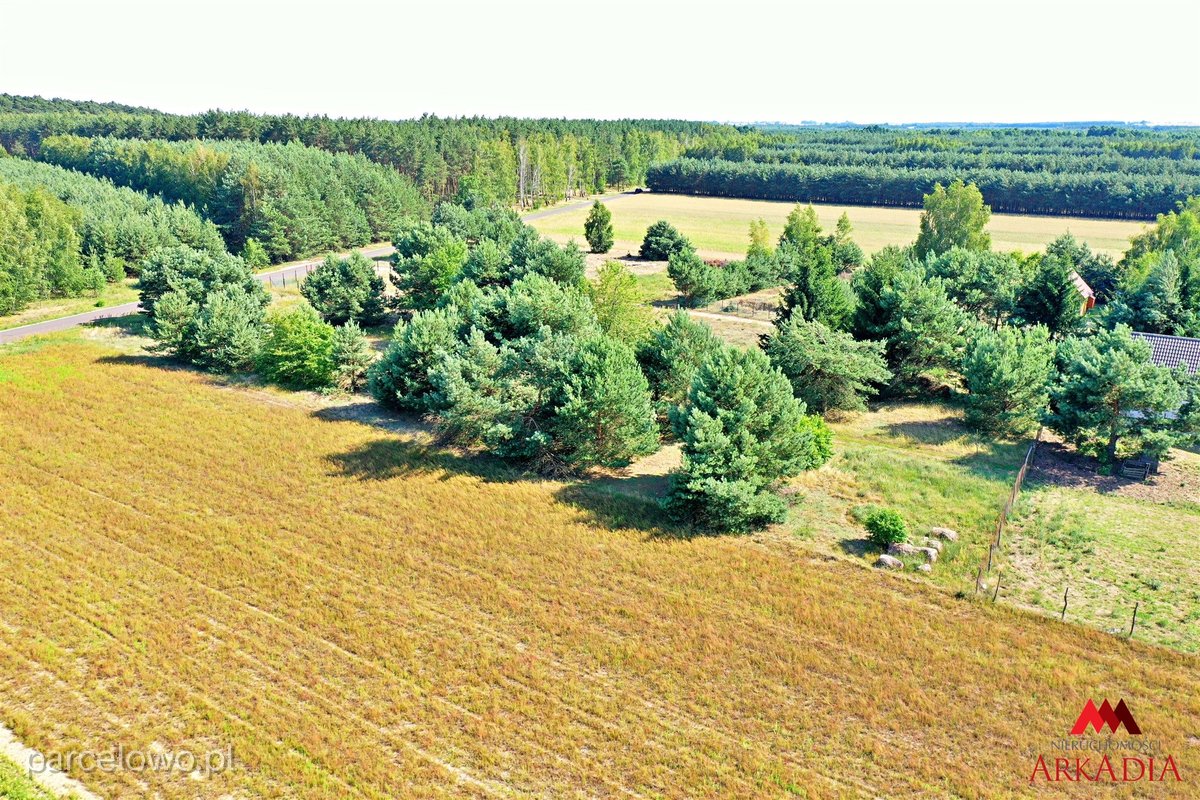 2 działki na sprzedaż - Okna,Baruchowo – zdjęcie 9